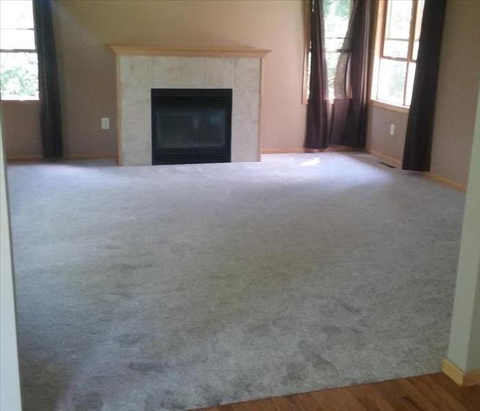 Image of sitting room with fireplace showing footprints in saturated carpet.