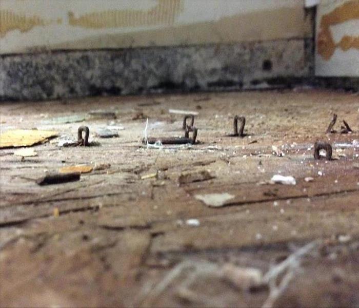 Floor level picture showing rusted staples and moldy wall in background after burst pipe.