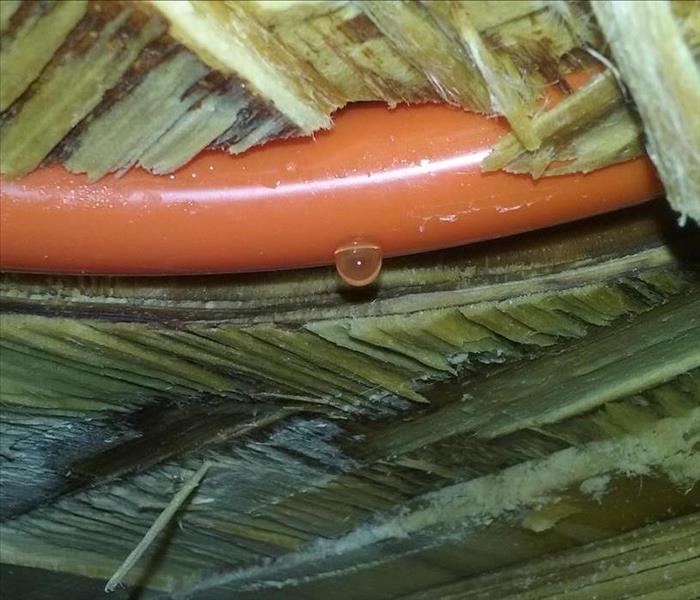 Slow drip from pinhole in orange in-floor heat line.