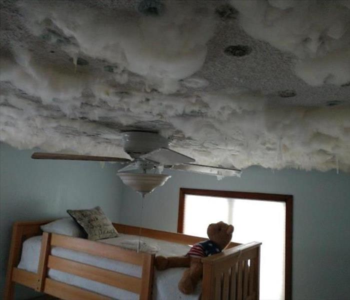 Teddy Bear in flag sweater on top bunk looking up at ceiling fan and cloud-like mold.