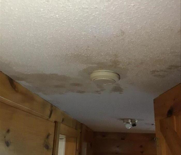 Celling with water damage